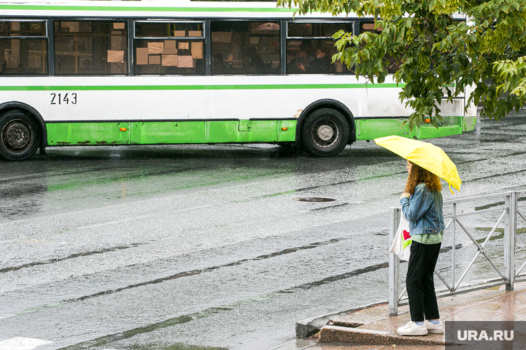 Дождливый день. Тюмень, пешеходный переход, непогода, автобус, люди с зонтами, дождь, человек с зонтом