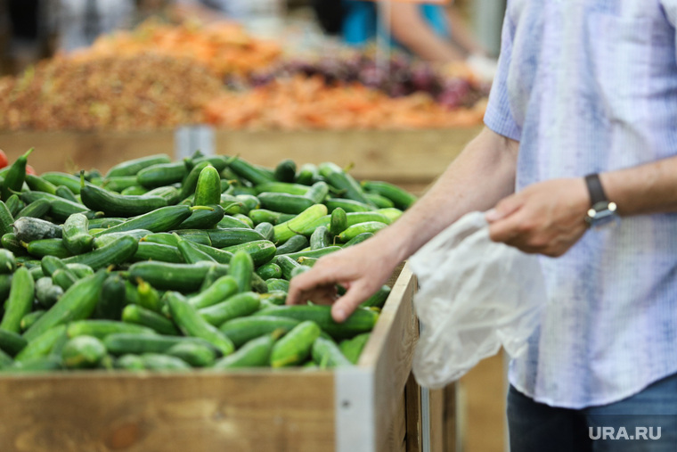 Торговая сеть «Метрополис». Курган, продукты, огурцы, корзина с продуктами, магазин, питание