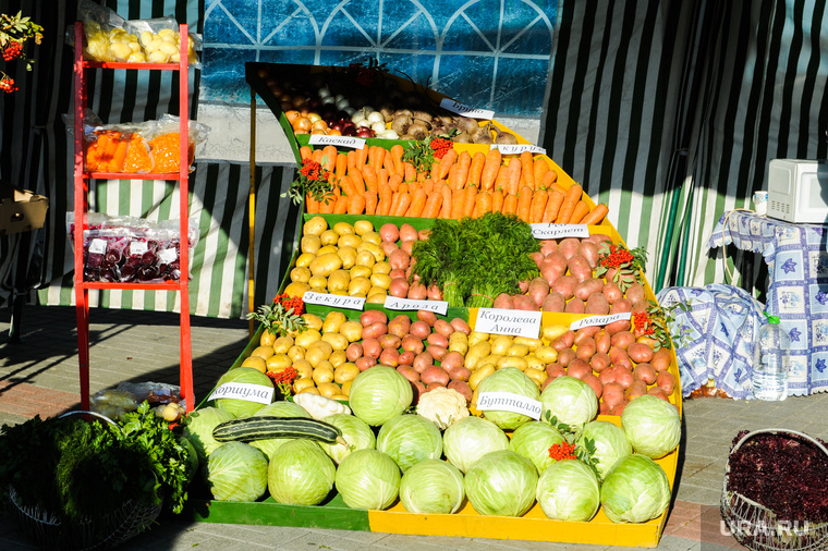 Областная агропромышленная выставка «АГРО-2019». Продукты питания. Челябинск, капуста, овощи, продукты, картошка, еда, потребительская корзина