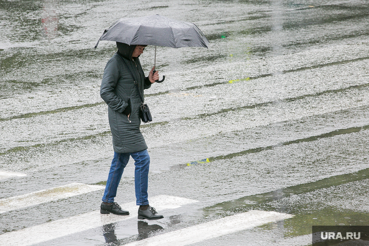 Дождливый день. Тюмень, пешеходный переход, непогода, люди с зонтами, дождь, человек с зонтом