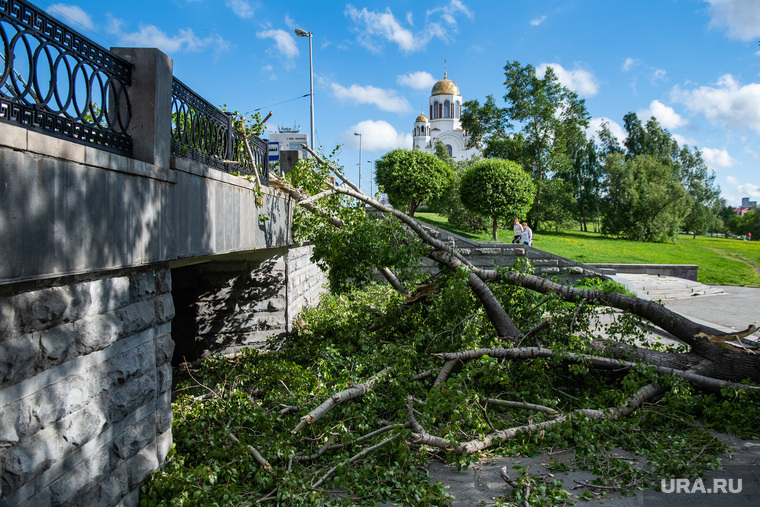 Последствия урагана в Екатеринбурге, храм на крови, улица карла либкнехта, екатеринбург , ураган, циклон, последствия урагана, устранение последствий, дерево, остановка тюз