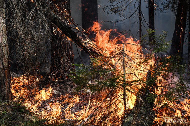 Лесной пожар на озере Глухое. Свердловская область, пожар, огонь, лес горит, лесной пожар, пожар в лесу