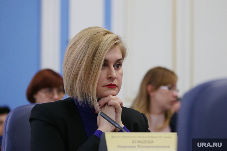Пермская городская дума 6 созыва депутаты Пермь, агишева надежда