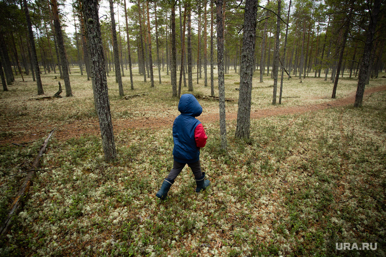 Ханты Сургутского района, семья Клима Кантерова. Лянтор, лес, сосновый бор, тайга, ребенок в лесу