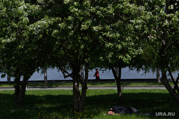 Пятьдесят четвертый день вынужденных выходных из-за ситуации с распространением коронавирусной инфекции CoVID-19. Екатеринбург, бомж, бездомный, тепло, лето, зеленый город, спит под деревом, теплая погода