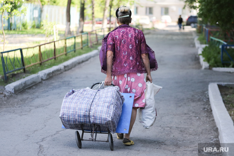 Встреча жителей дома по улице Кирова, 98 с застройщиком многоэтажного дома Бабочкиным Александром. Курган, сумка, переезд, сумка на колесах, дачница, пенсионерка с сумками