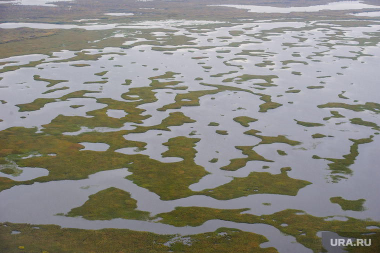 Природа Ямало-Ненецкого автономного округа, север, болото, тундра, арктика, ямал, природа ямала, вид сверху, осень, с квадрокоптера