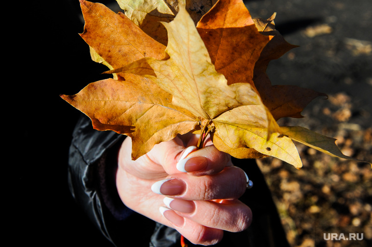 Золотая осень в кленовом парке. Челябинск, маникюр, золотая осень, кленовый парк, кленовый лист