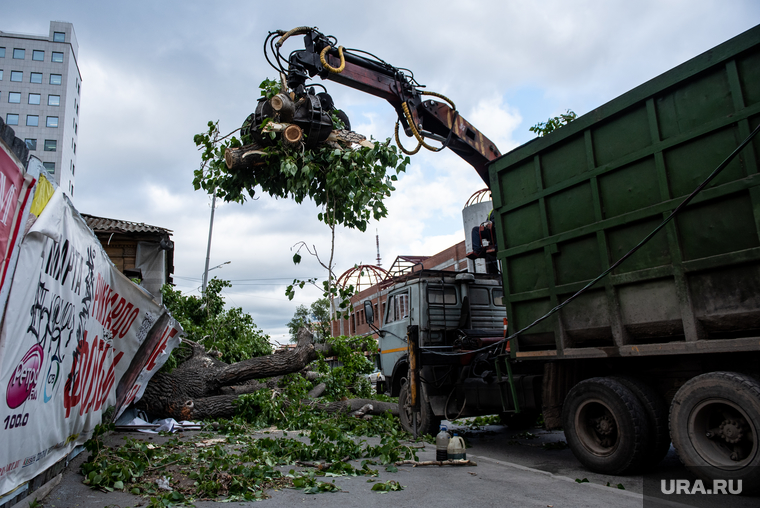 Последствия урагана в Екатеринбурге, улица куйбышева, деревья, сломанные деревья, коммунальные службы, екатеринбург , ураган, циклон, последствия урагана