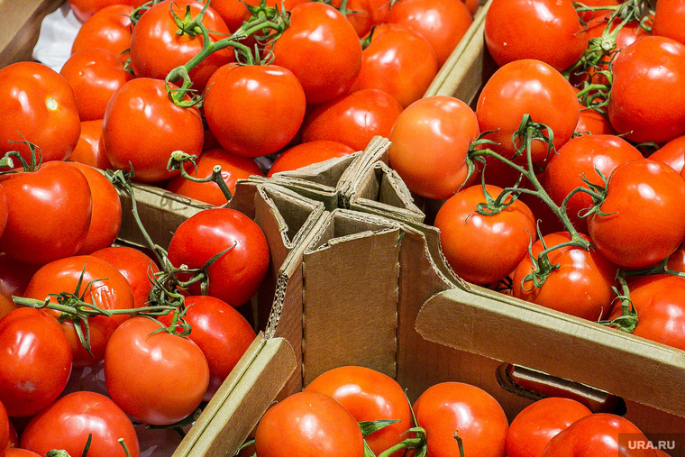Благодаря новым технологиям удовлетворят спрос на органические продукты