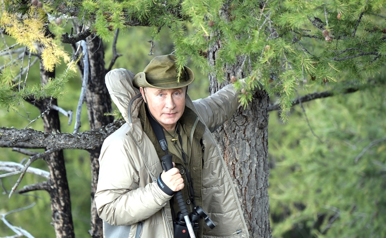 Президент России, портрет, путин владимир,  stock