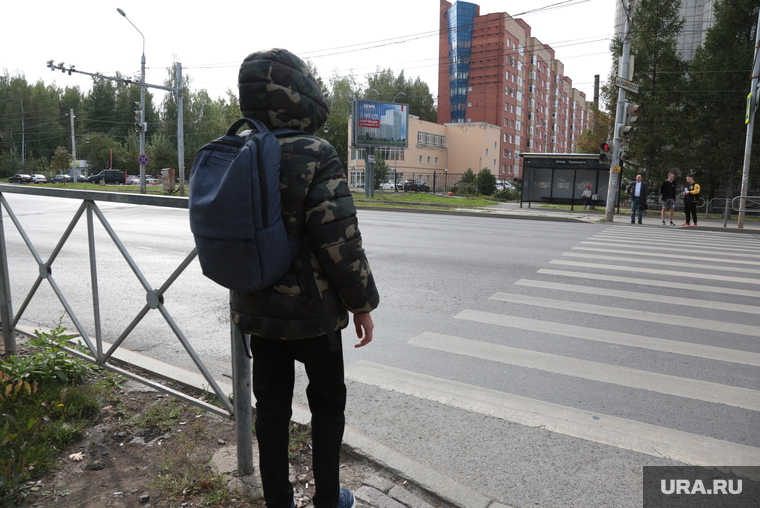 Детская безопасность. Дорога. Пермь, пешеходный переход, детская безопасность, ребенок на дороге