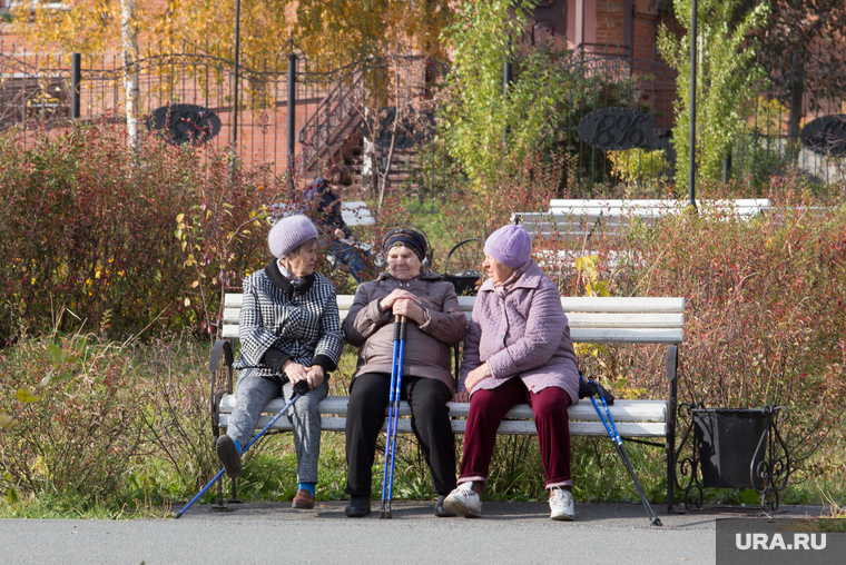 Клипарт. Курган, бабушки на скамейке, пенсия, пенсионерки на скамейке, палки для ходьбы