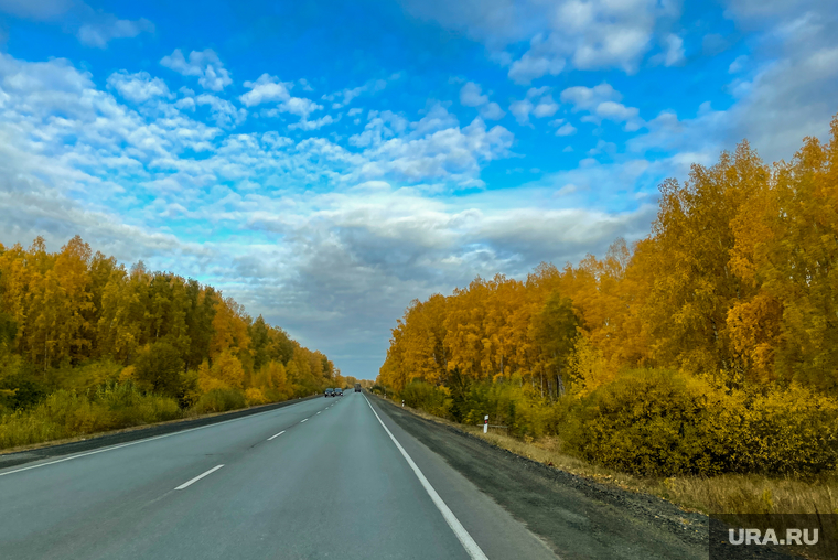 Золотая осень, природа. Челябинск, небо, бабье лето, золотая осень, трасса, дорога, природа