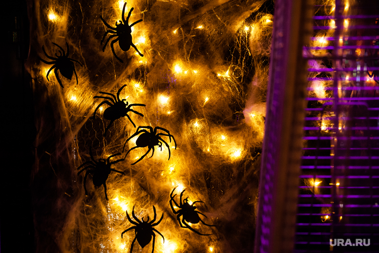 Украшения к Хэллоуину в заведениях Екатеринбурга, пауки, хэллоуин, helloween, жуки