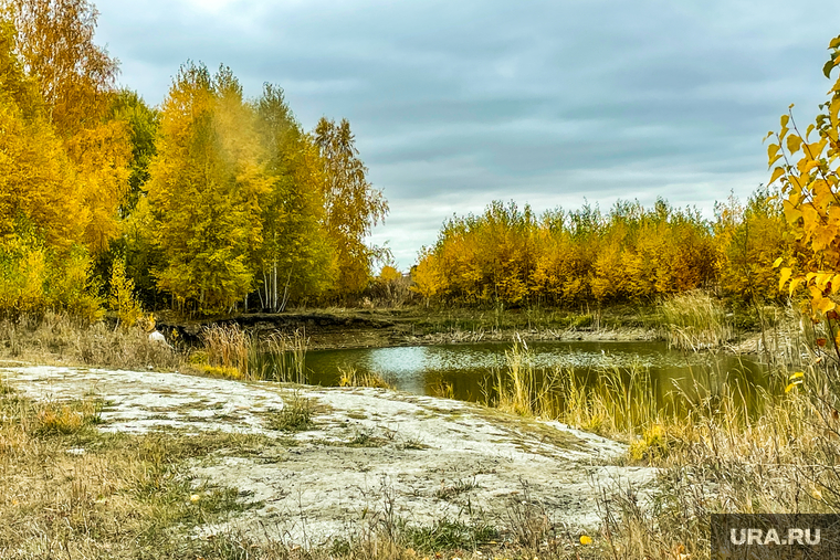 Золотая осень, природа. Челябинск, пруд, бабье лето, золотая осень, водоем, природа