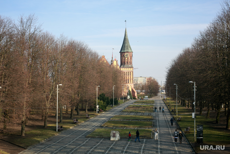 Улицы и окрестности Калининграда весной. Калининград, кафедральный собор, калининград, остров канта