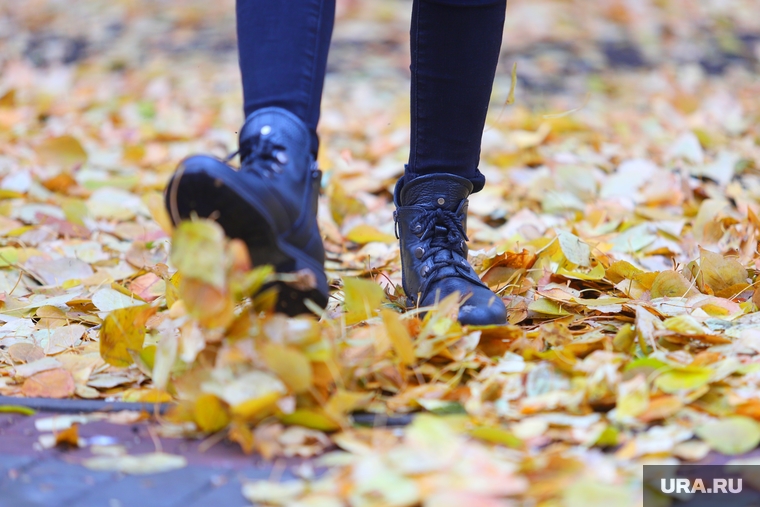 Осень. Курган, ботинки, осень, погода, осенняя погода, осенние листья, осенняя обувь