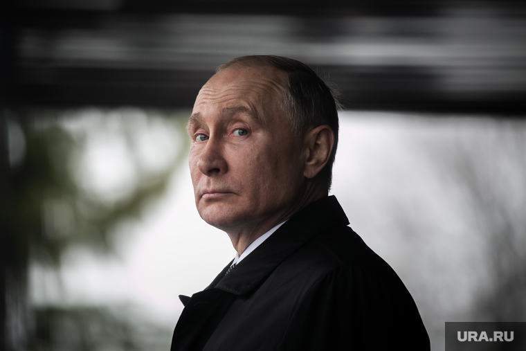 Панин Путин Фото
