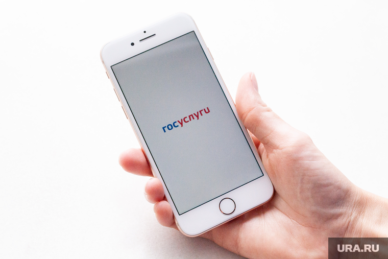 Клипарт Госуслуги. Тюмень, смартфон, госуслуги, айфон, iphone, смартфон в руке
