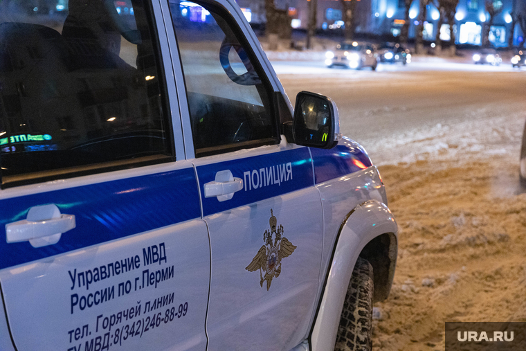 Акция оппозиции с фонариками. Пермь, полицейская машина, полиция