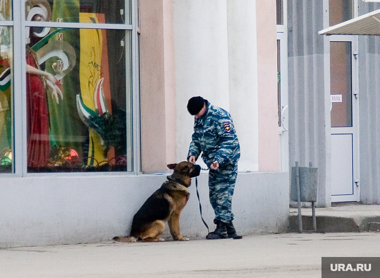 Взрывное устройство
Курган
остановка у Куйбышева 75
22.11.2013г, полицейский с собакой, кинолог