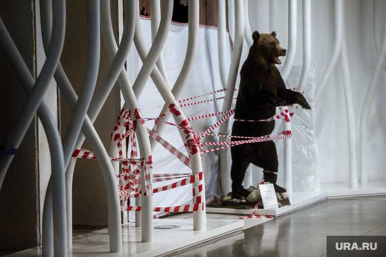 Аэропорт Кольцово во время пандемии коронавируса. Екатеринбург, аэропорт кольцово, красная лента, эпидемия, закрыт, медведь, пандемия коронавируса