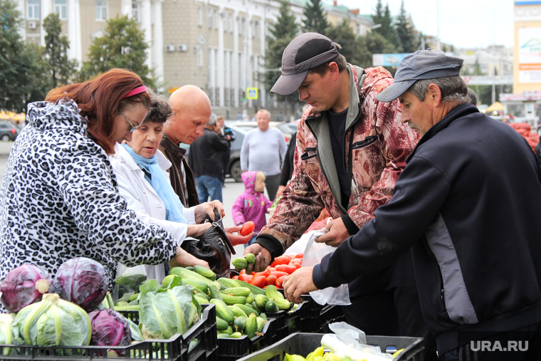 Открытие овощной ярмарки
Курган, овощи, покупатели, овощная ярмарка, фермеры, рынок