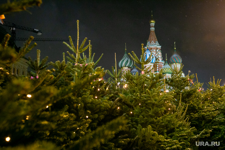 Новогодняя ярмарка на Красной Площади. Москва, елки, елочный базар, новый год, новогодняя ярмарка, собор василия блаженного, покровский собор