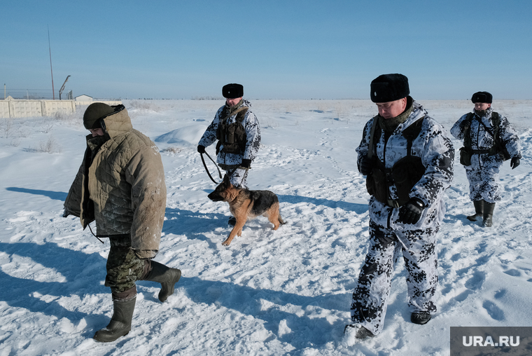 Контрольно-пропускной пункт «Звериноголовское». Звериноголовский район. , служебная собака, пограничники, захват преступника