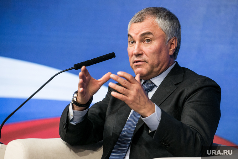 Организационное собрание фракции политической партии "Единая Россия". Москва, володин вячеслав