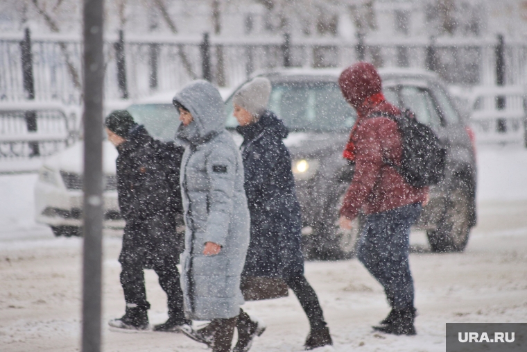Снегопад. Курган, снег, пешеходный переход, снегопад, зима, сугроб, метель, плохая видимость