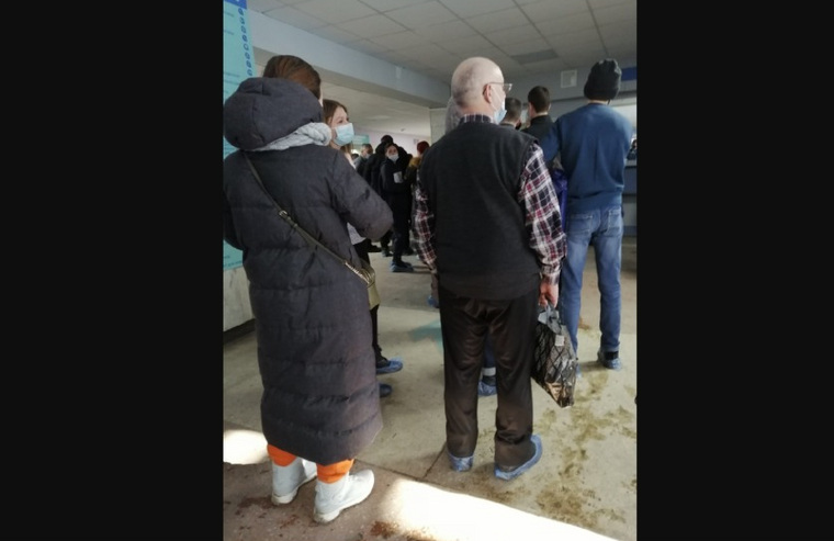 горожане сети