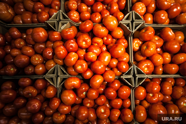 Открытие супермаркета «Перекресток». Екатеринбург, овощи, помидоры, томаты
