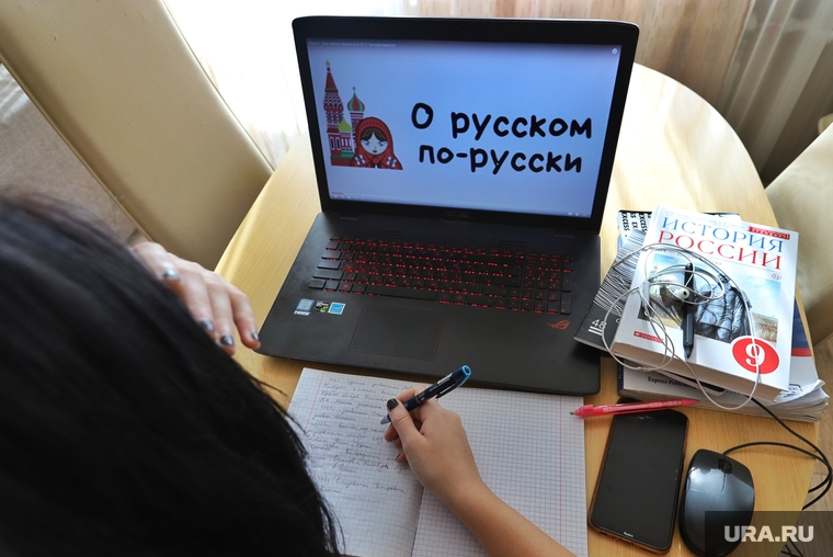 Клипарт на тему дистанционного обучения. Курган , обучение, учебники, домашнее обучение, дистанционное обучение, удаленное обучение, дистант