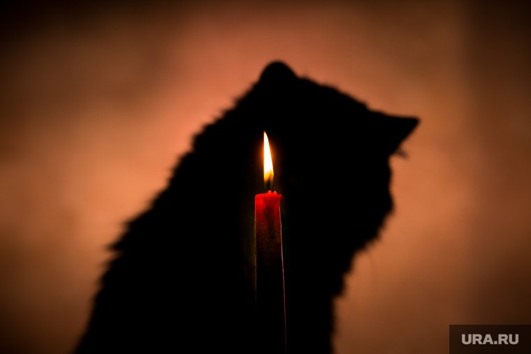 Клипарт по теме свеча, траур
Москва, кошка, свеча, кот, траур, мистика, свечка, поминки, гадание, кот бегемот