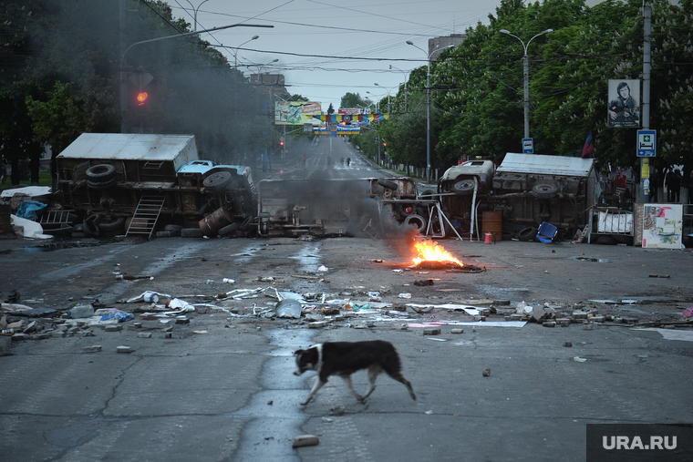 Последствия боевых действий в Мариуполе. Украина, собака, баррикады, дворняга, бездомный пес, мариуполь, постапокалипсис, бедствие, разруха