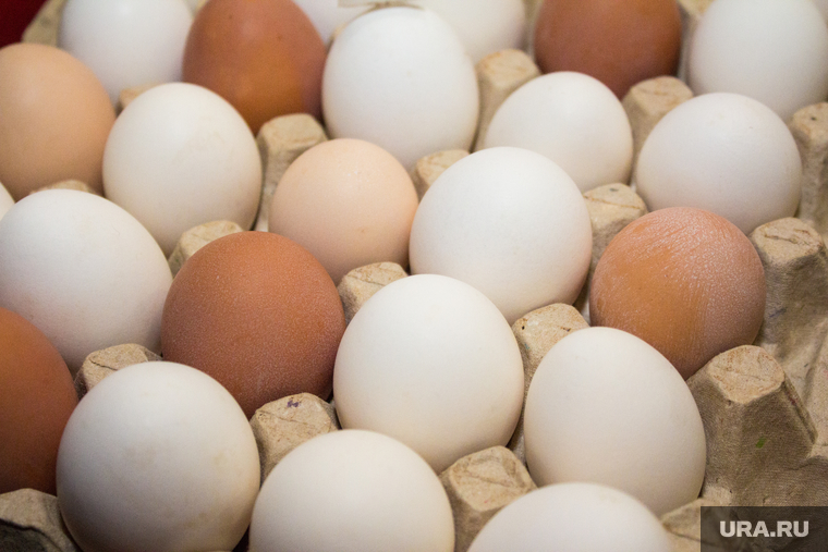 Продукты и товары. Ханты-Мансийск, продукты, яйца, еда