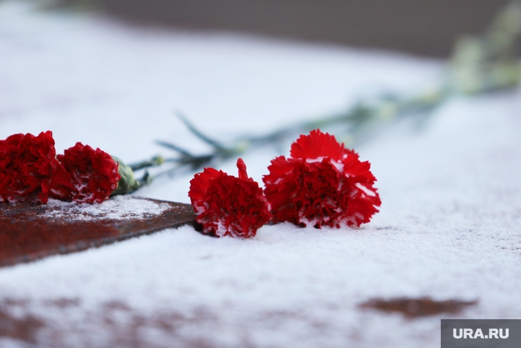 Акция «Защитим память героев» в честь 23 февраля. Курган, снег, акция памяти, гвоздики, захоронение, цветы, похороны