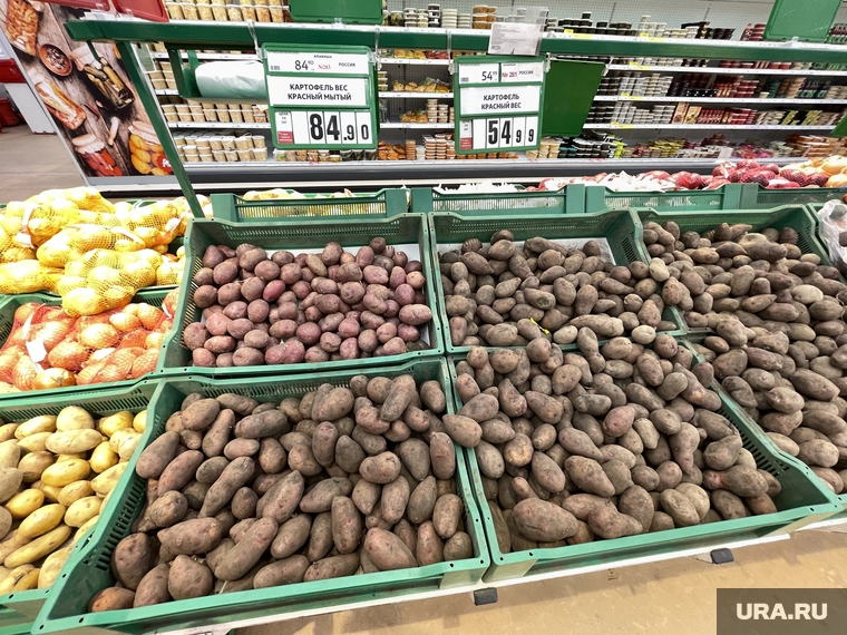 Самостоятельно выращенная челябинцами картошка ударит по доходам аграриев и торговых сетей
