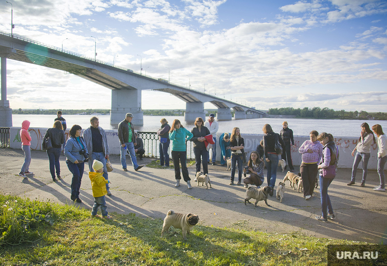 Пермь. Городские пейзажи, мост, люди, река кама