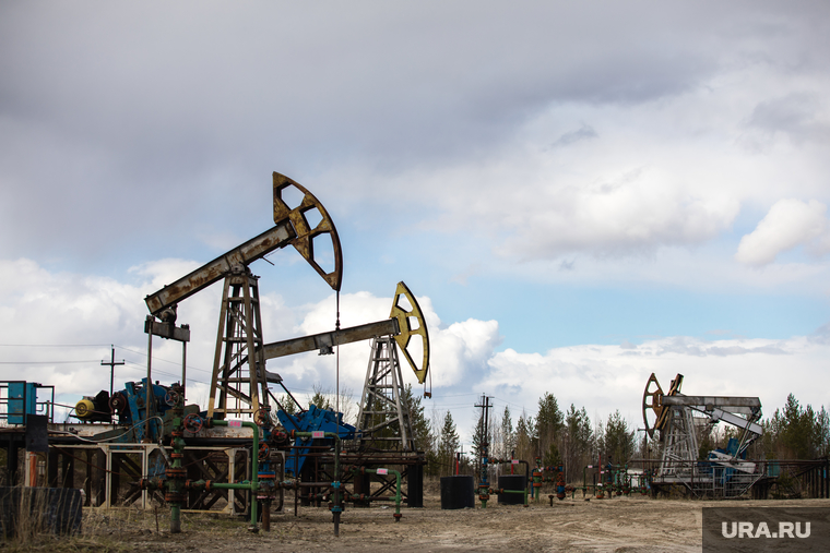 Качалки. Сургут, газ, газпром, топливо, роснефть, качалка, экономика, нефть, месторождение, нефтедобыча, добыча нефти, природные ресурсы, лукоил, сургутнефтегаз, куст нефтегазовый, цены на нефть