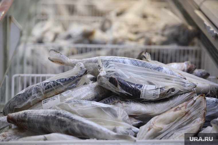 Магазин Метрополис. Курган , торговля, продукты, морепродукты, замороженная рыба, опт, розница, оптовая