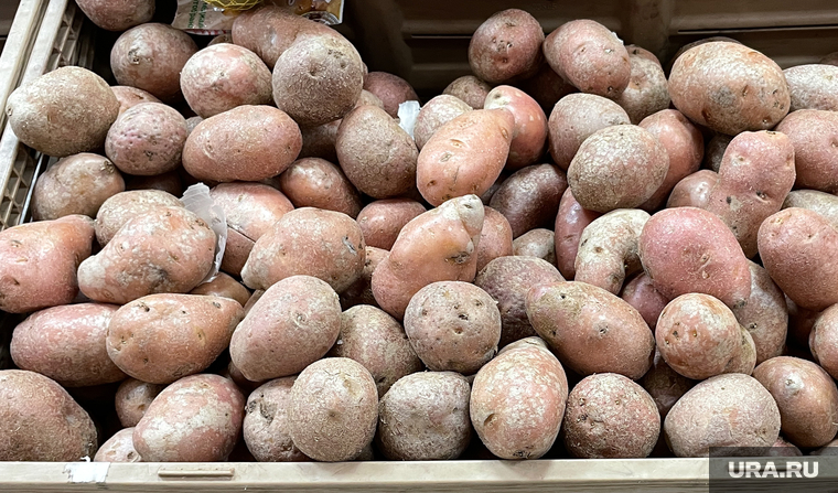 Сетевые продуктовые магазины. Челябинск, магнит, картошка