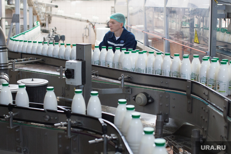 40-летний юбилей молочного комбината «Шадринский». Шадринск, молоко, конвейер