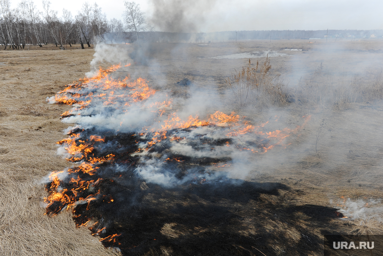 Лесные пожары. Учения МЧС. Челябинск, трава горит