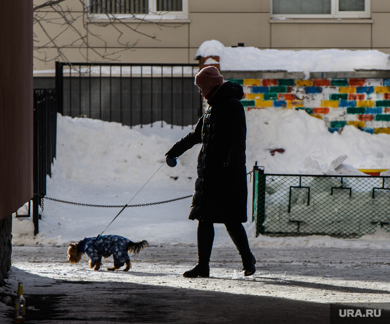 Виды Екатеринбурга, двор, выгул собаки