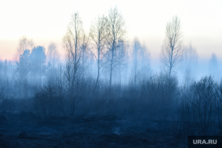 Последствия пожара в поле близ коттеджного поселка Совушки. Екатеринбург
, дым, задымление, смог, последствия пожара, пожар в поле, лес в дыму, совушки