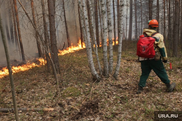 Рейд по лесным пожарам. Тюмень, огонь, лес горит, лесной пожар, лесные пожары, тушение лесных пожаров