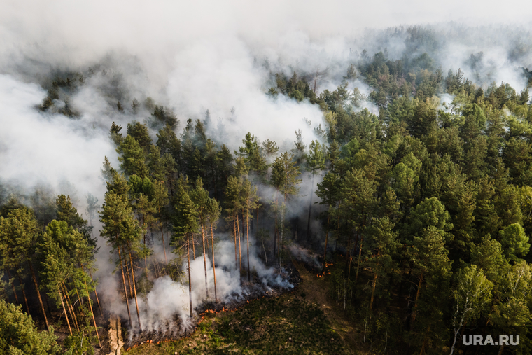 Лесной пожар на озере Глухое. Свердловская область, лес горит, лесной пожар, пожар в лесу, дым в лесу, пожар у озера глухое